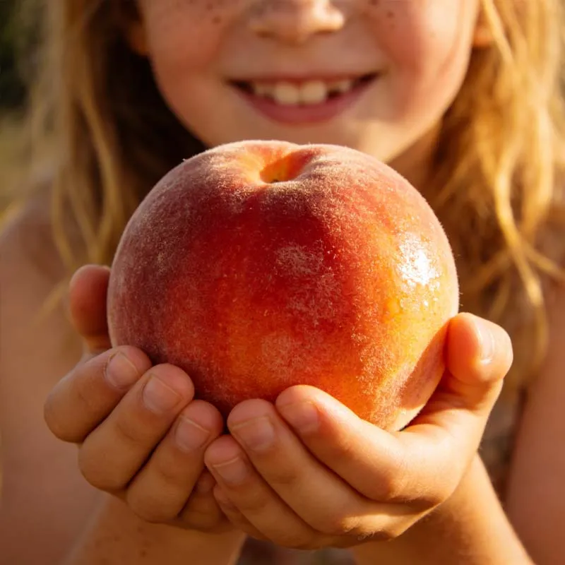 Red flesh honey peaches