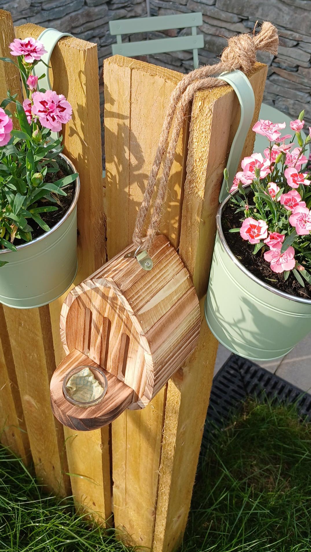 Jodie C.'s butterfly house