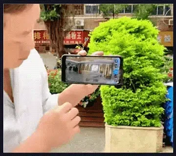 15.gif