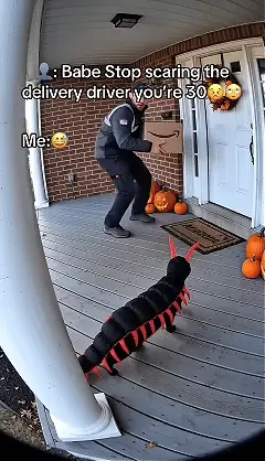 Pet wearing funny creepy crawling centipede costume animation