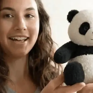 Panda plush home scene
