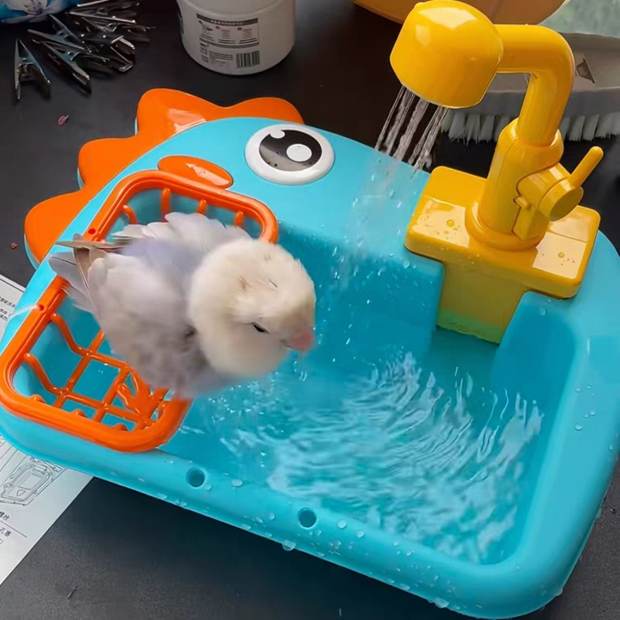 Small bird using circulating bird bath