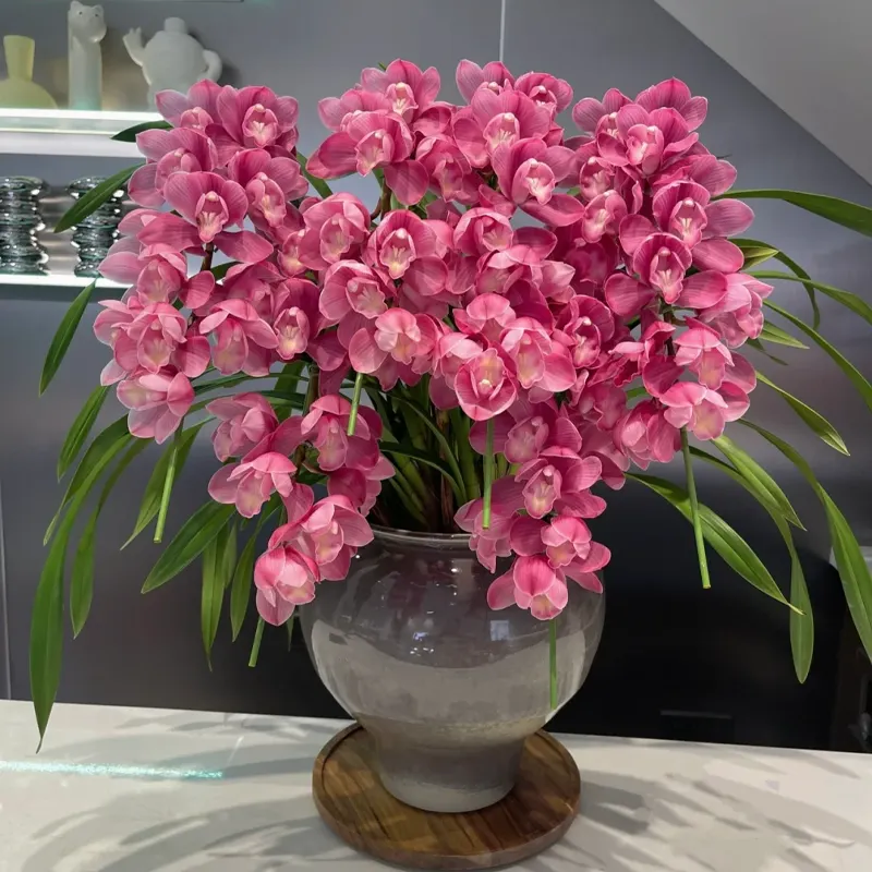 Elegant Cymbidium Orchid Flowers