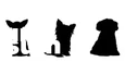 Clear Dog Raincoat – Snap closure