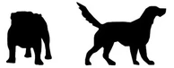 Clear Dog Raincoat – product image 5