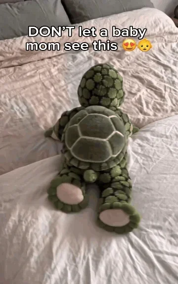 Little Turtle Baby Onesie