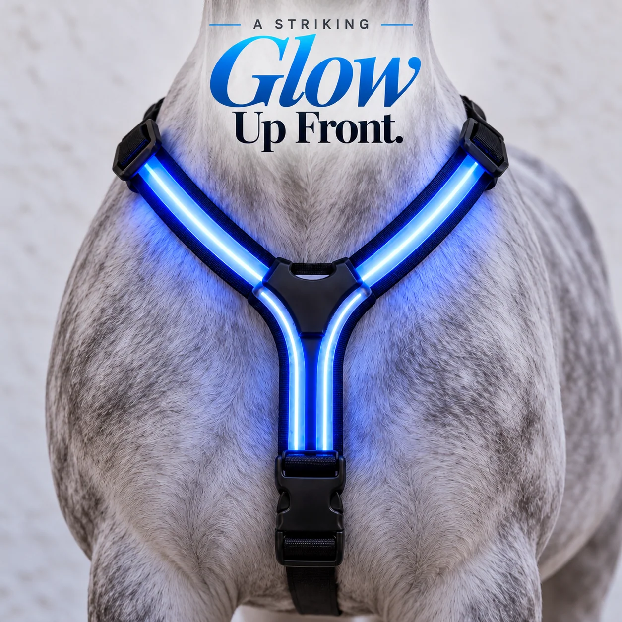 LED horse light set — accessory and fitting details