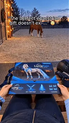 LED horse light set illuminating the horse in motion