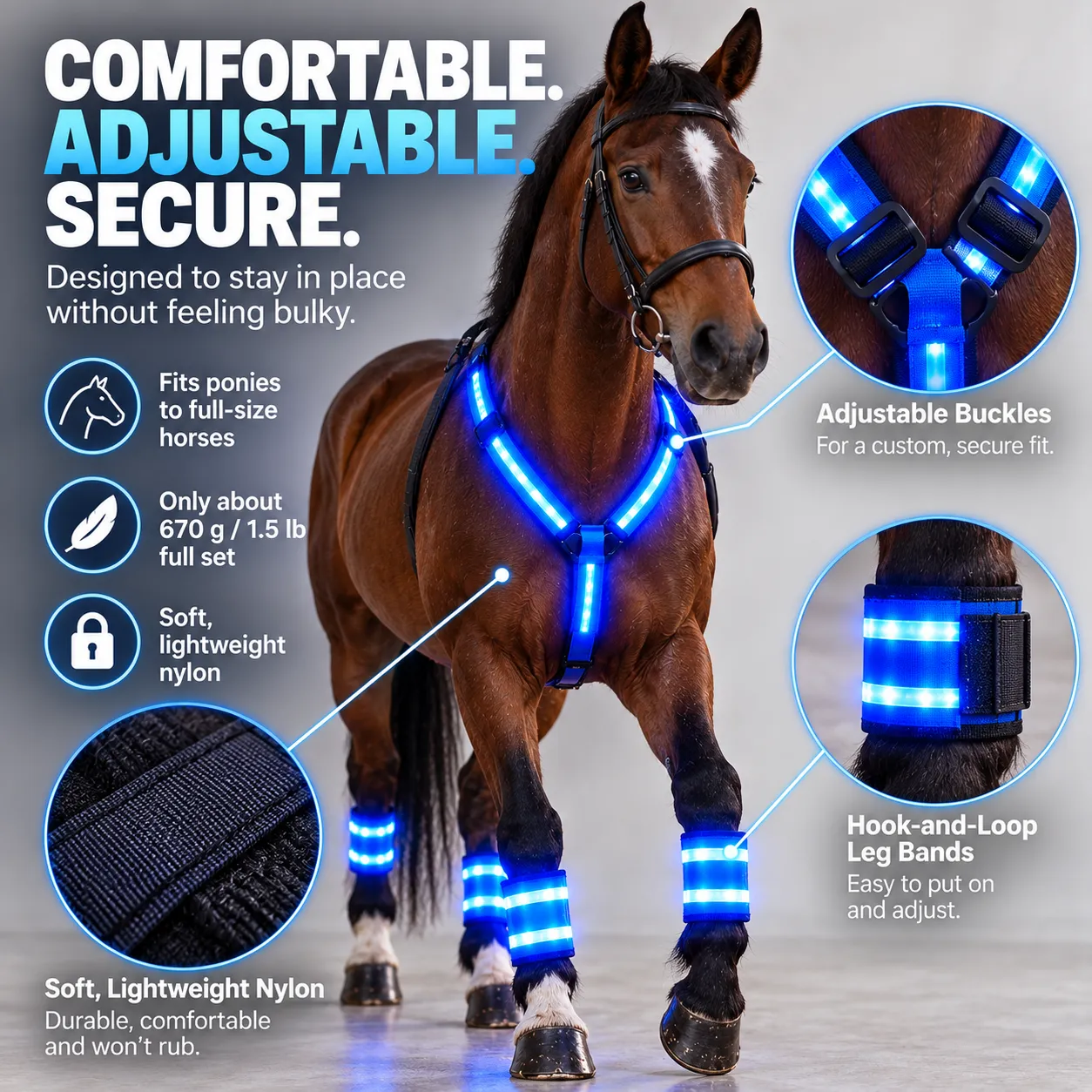 Horse wearing adjustable blue LED riding straps with close-up material details