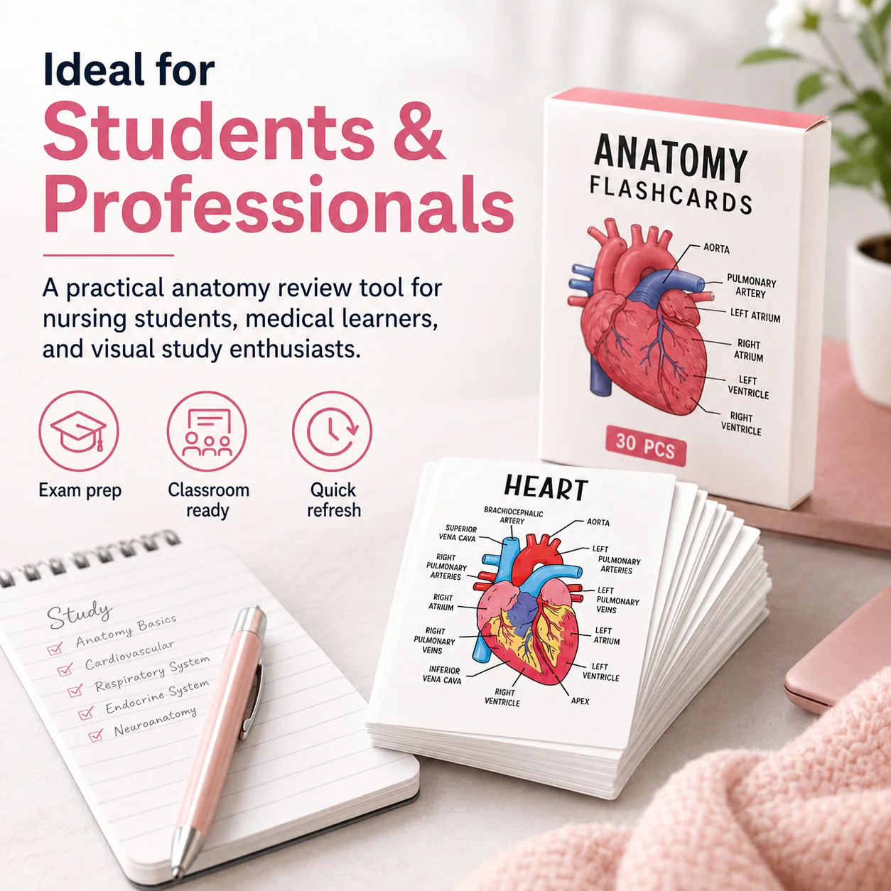 Anatomy flashcards for students
