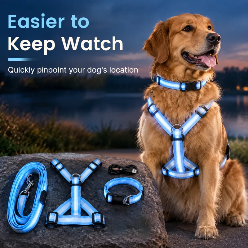 LED dog harness providing visibility after sunset
