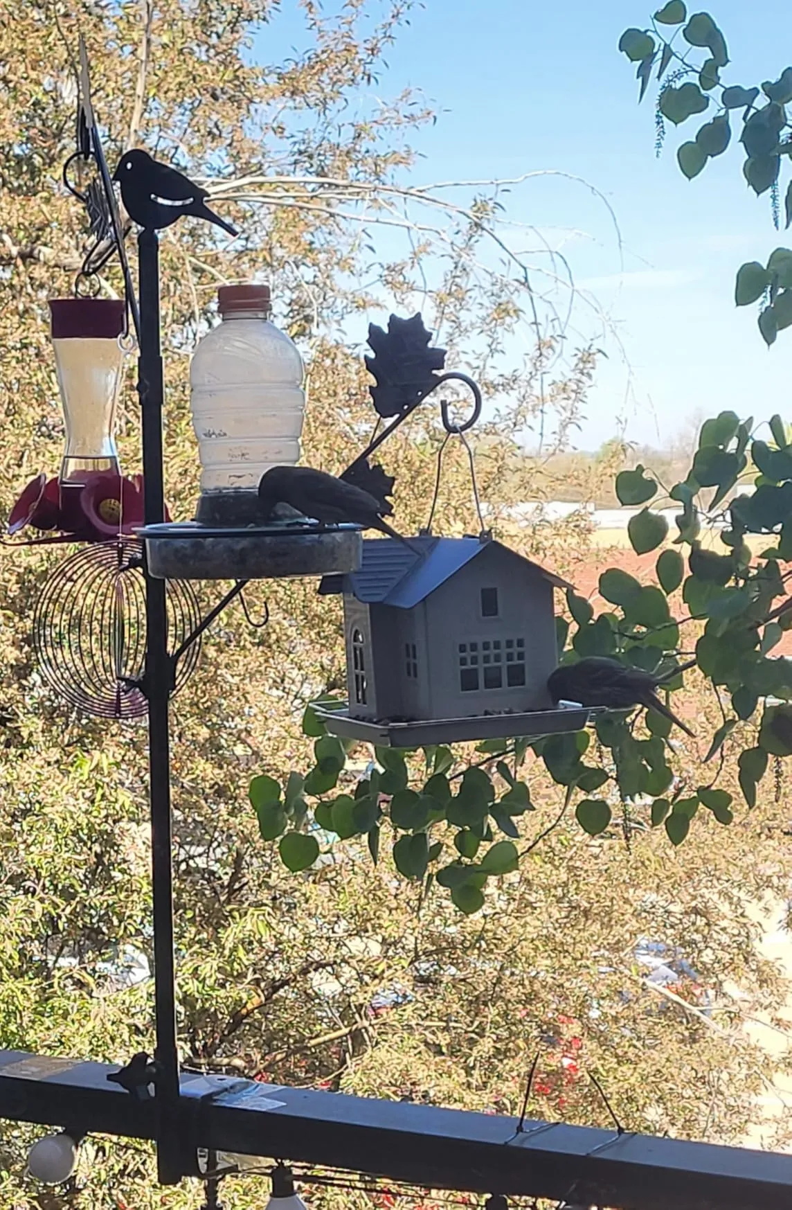 Decorative hanging bird feeder for a peaceful backyard