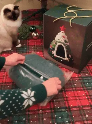 Festive enclosed Christmas tree cat bed for indoor lounging
