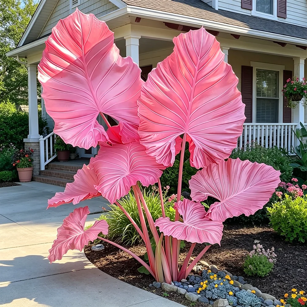 Giant Caladium garden