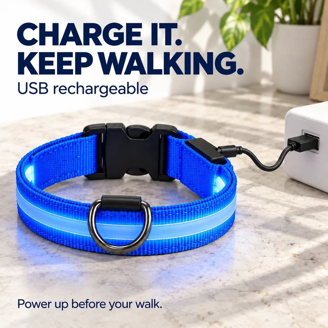 Blue LED collar connected to a USB charging cable