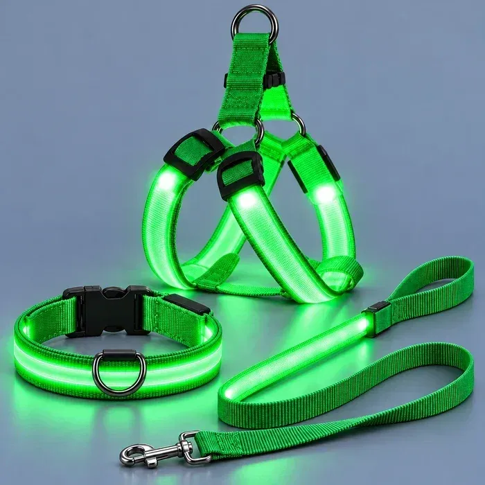 Green LED harness, collar, and leash set