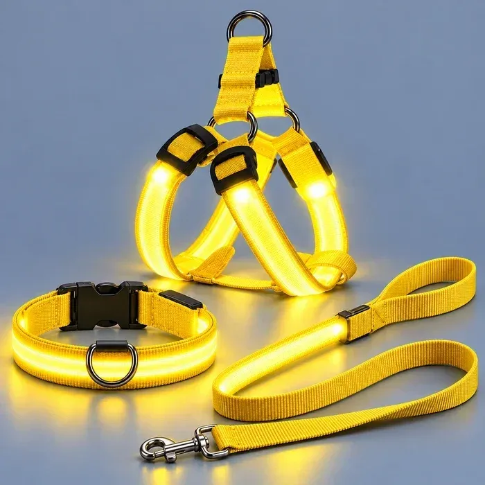 Yellow LED harness, collar, and leash set
