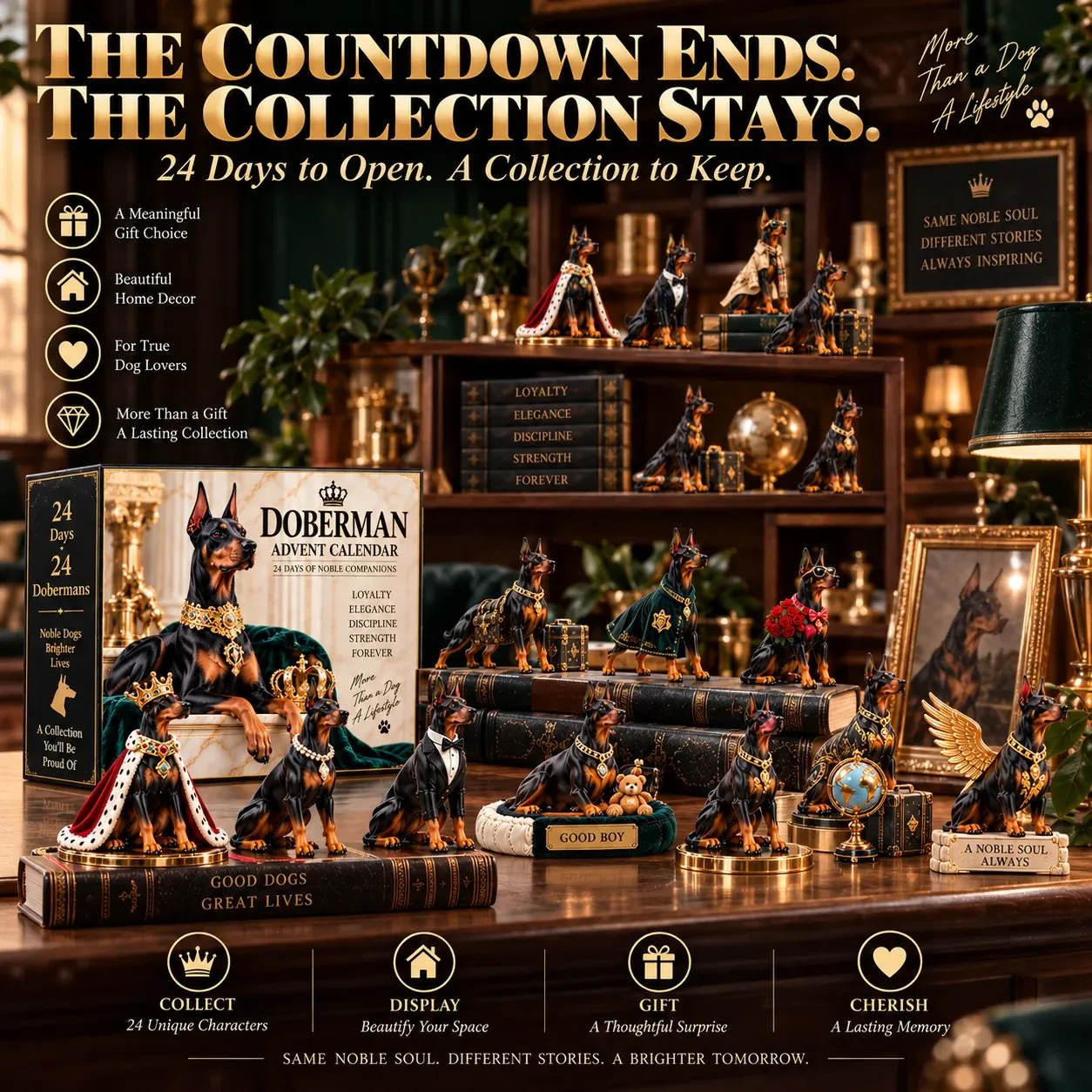 Doberman collection displayed after the countdown Doberman collection displayed after the countdown