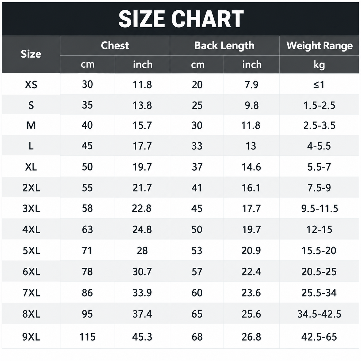 Modern Size Chart Infographic.png